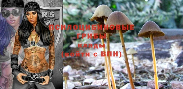 тгк Краснотурьинск