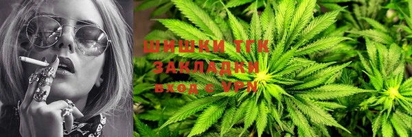 молекула духа Бородино