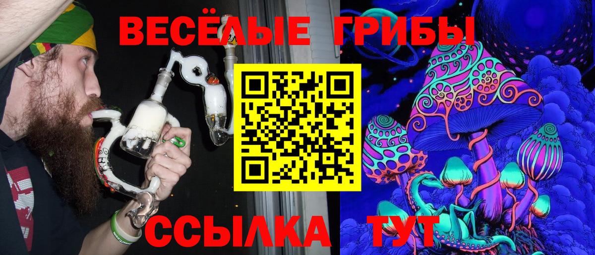 Галлюциногенные грибы Psilocybine cubensis Мариинск