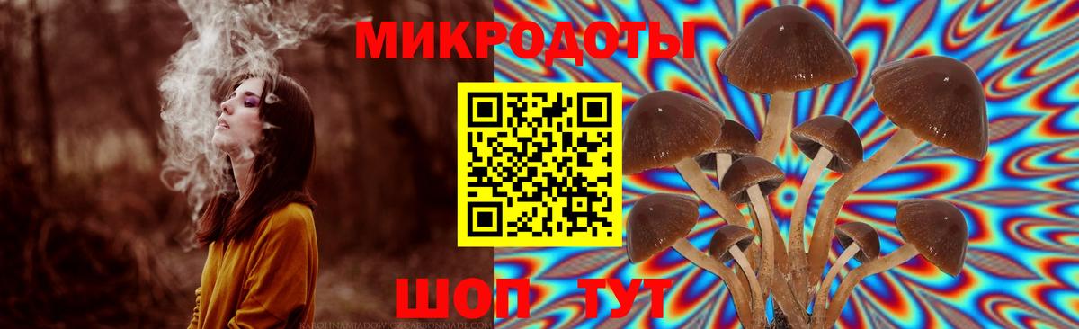 Псилоцибиновые грибы GOLDEN TEACHER  Галлюциногенные грибы мицелий  Вход с VPN  Мариинск 